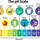 PH چیست و چگونه اندازه گیری می شود
